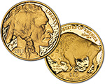 2010 Gold Buffalo 70 